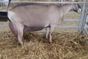 AAA-q3knsfqicsxpjwrkacndt0x2r104v7ebikxl7jf7lw