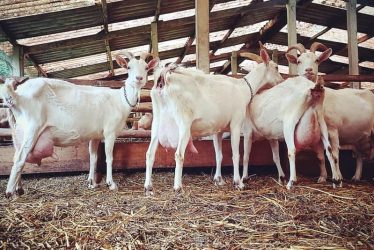 S-q3knpdre56r5tj7b4j417ao58y26um9q3gls25y9tw